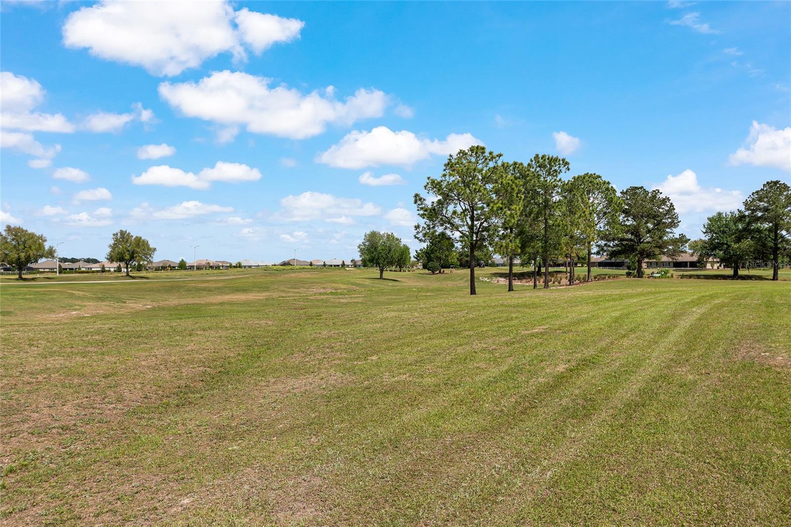 9733 SW 89TH LOOP, OCALA, FL, 34481