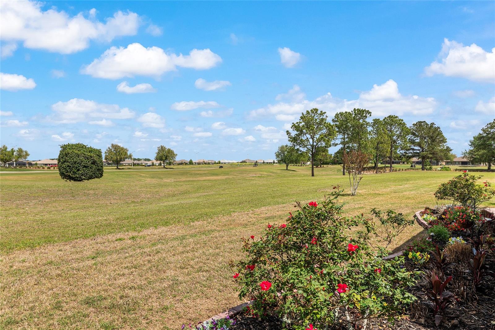 9733 SW 89TH LOOP, OCALA, FL, 34481