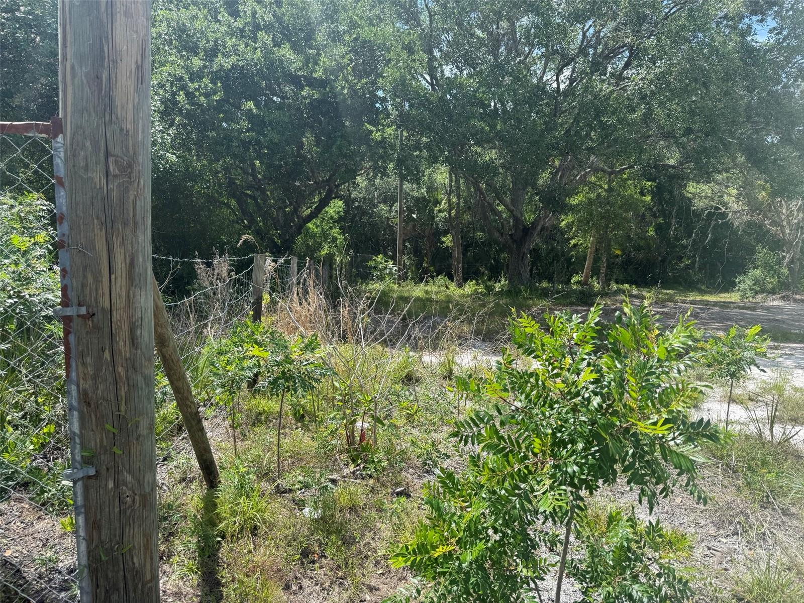 18121 NW 256TH ST, OKEECHOBEE, FL, 34972