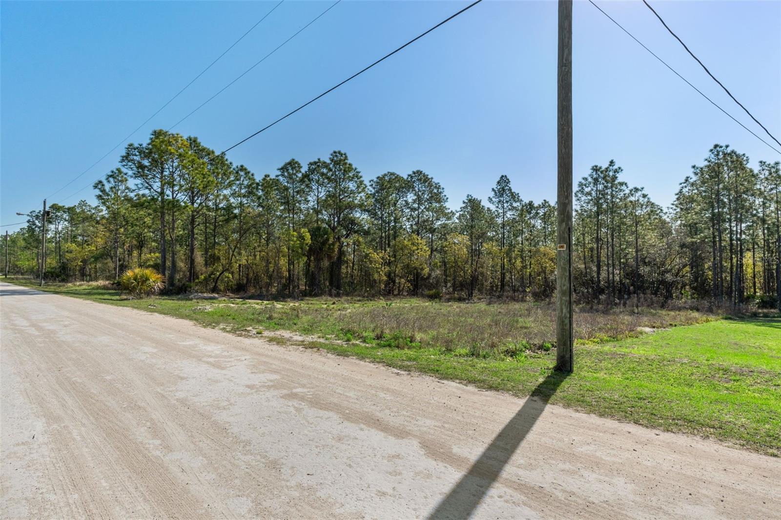 12348 SNOWY EGRET AVE, WEEKI WACHEE, FL, 34614
