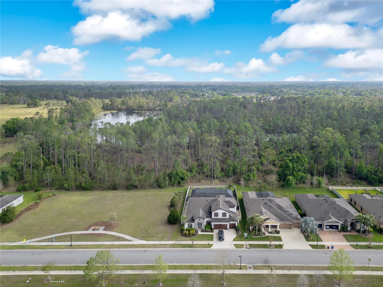21914 BUTTERFLY KISS DR, LAND O LAKES, FL, 34637