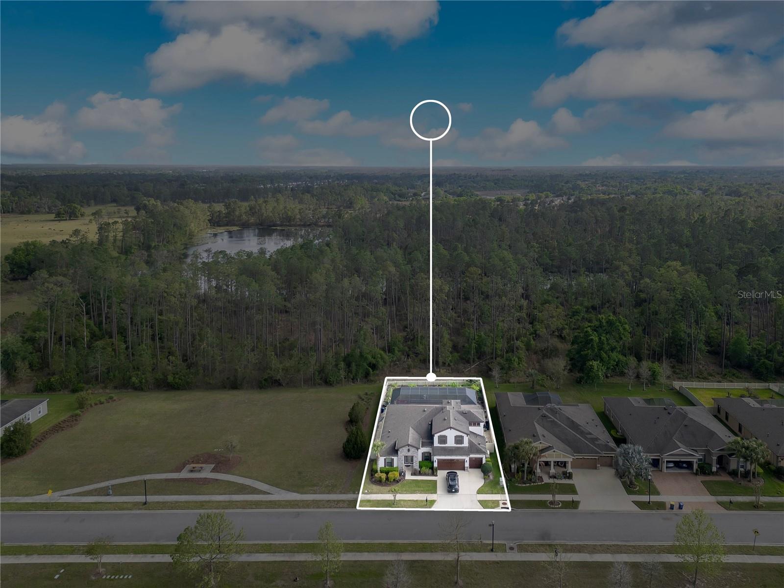 21914 BUTTERFLY KISS DR, LAND O LAKES, FL, 34637