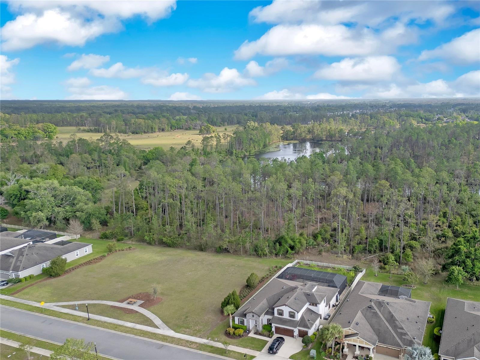 21914 BUTTERFLY KISS DR, LAND O LAKES, FL, 34637