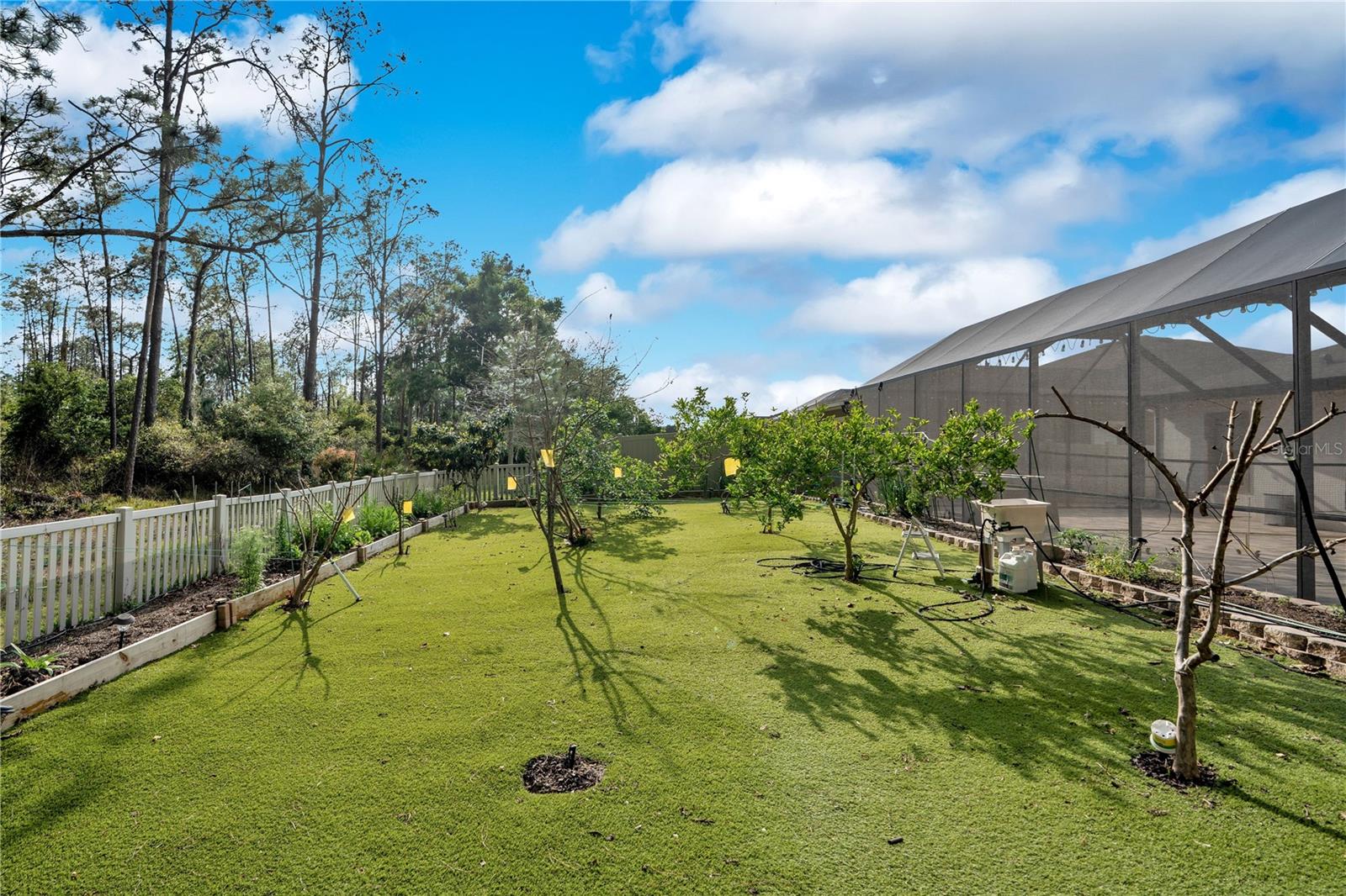 21914 BUTTERFLY KISS DR, LAND O LAKES, FL, 34637