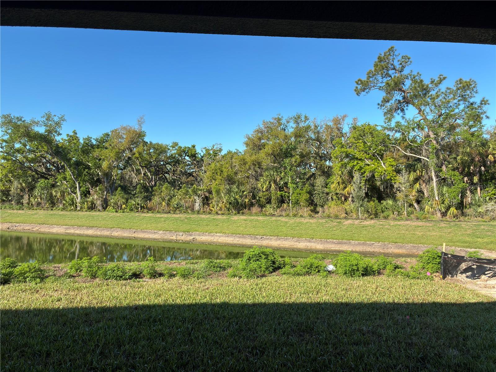 10029 HIDDEN HAMMOCK LOOP, PARRISH, FL, 34219