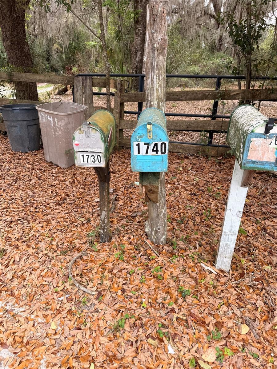 1730 S PALM AVE, HOMOSASSA, FL, 34448