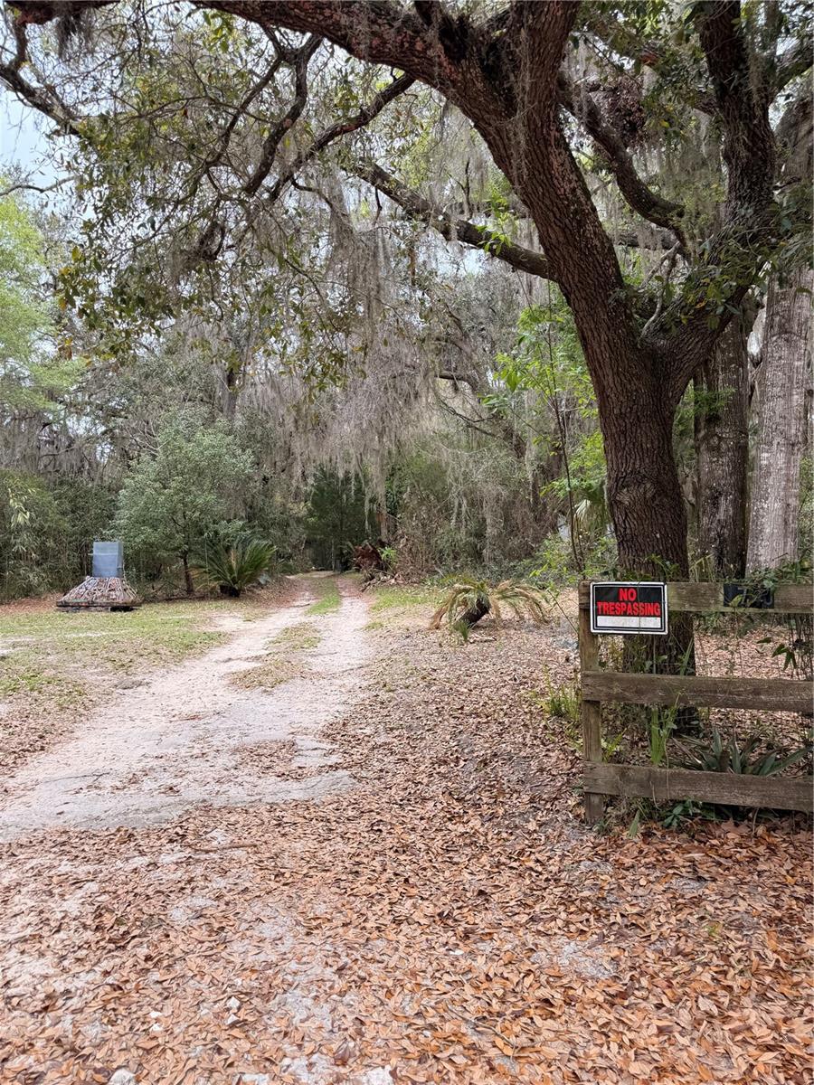 1730 S PALM AVE, HOMOSASSA, FL, 34448