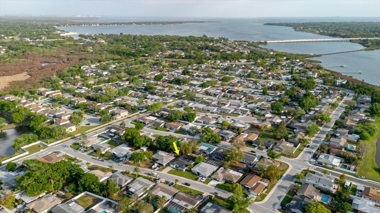 1811 FOREST DR, OLDSMAR, FL, 34677