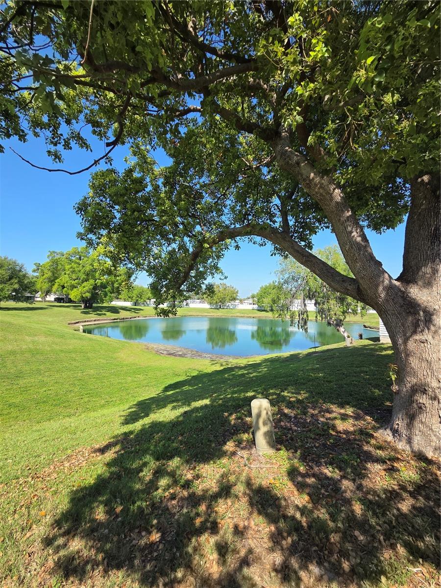 3121 E BEECHER DR E #D, PALM HARBOR, FL, 34683