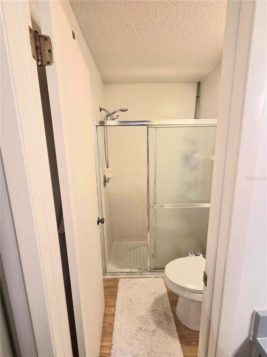 3121 E BEECHER DR E #D, PALM HARBOR, FL, 34683