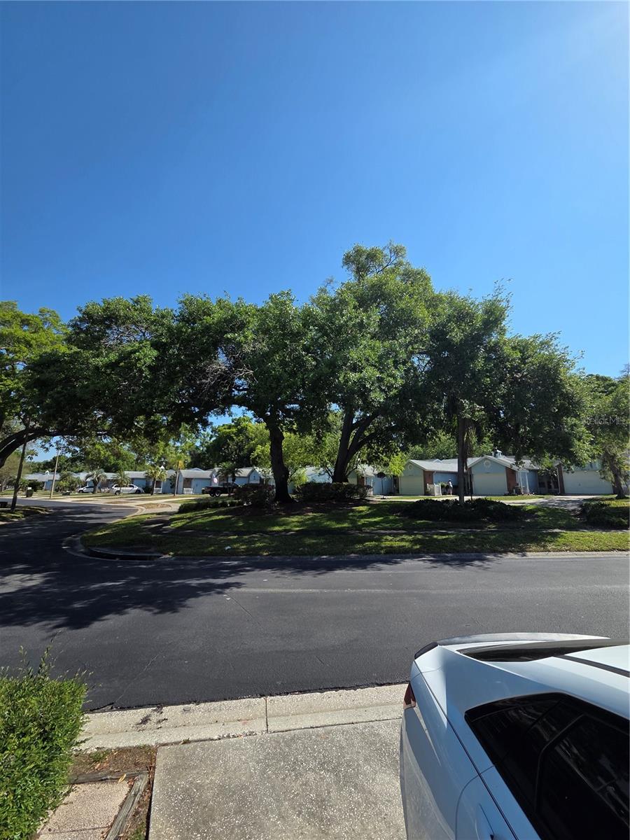 3121 E BEECHER DR E #D, PALM HARBOR, FL, 34683