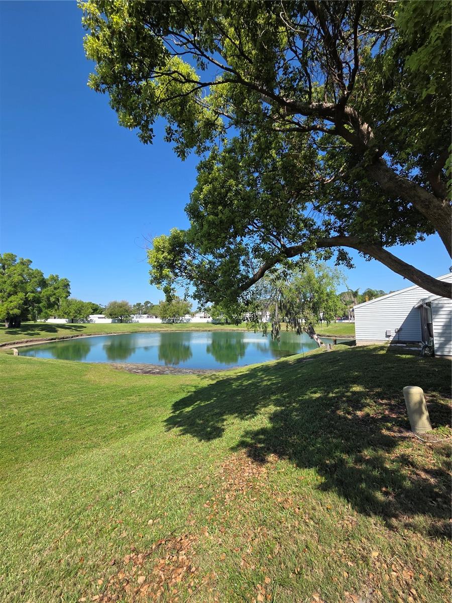 3121 E BEECHER DR E #D, PALM HARBOR, FL, 34683