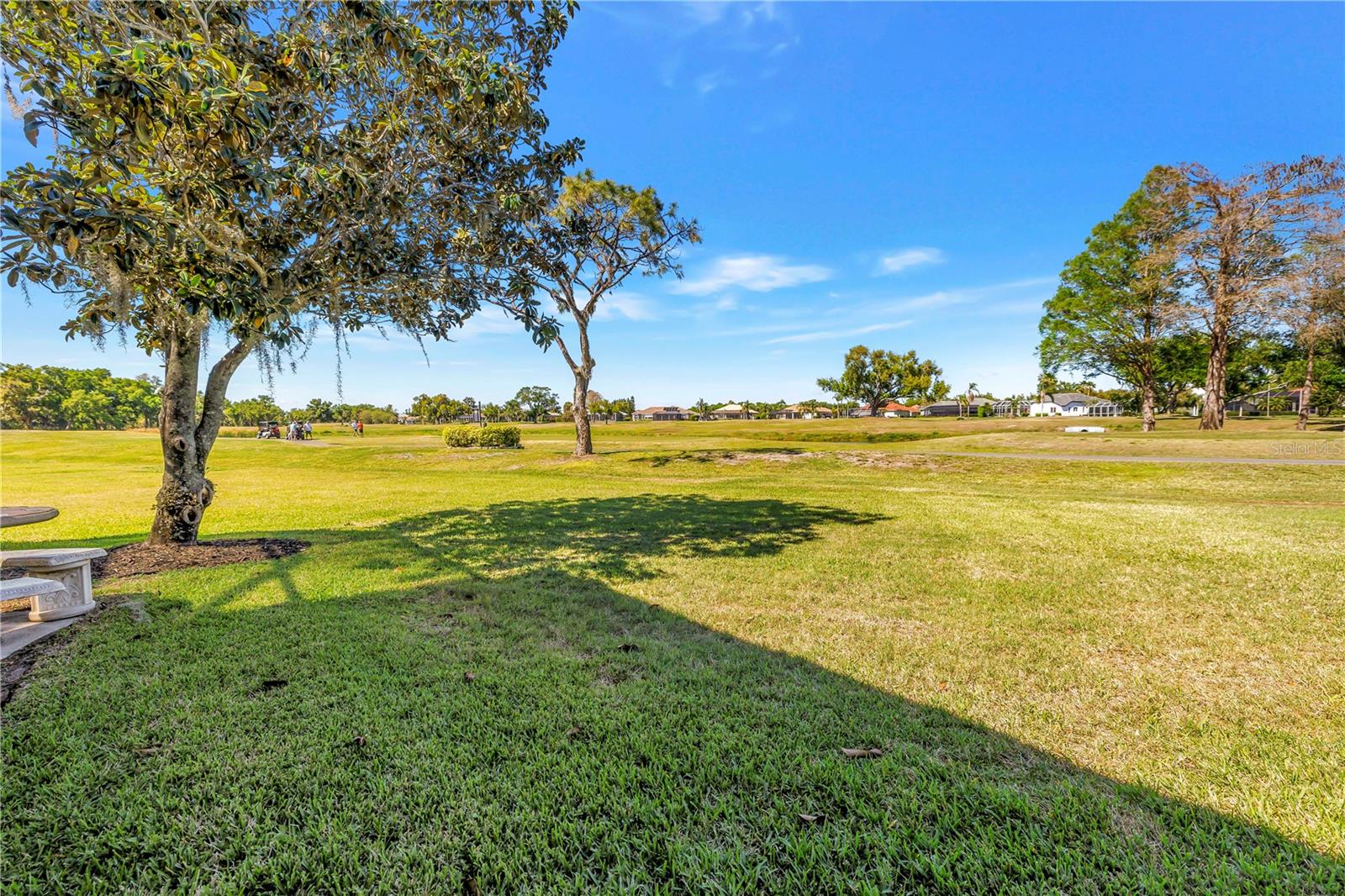 11902 WOODLAND TER, PARRISH, FL, 34219