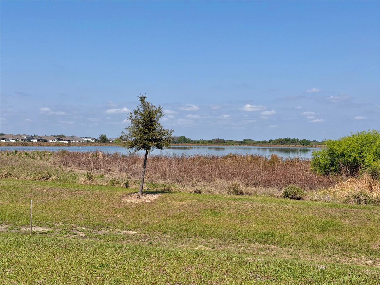 872 GRIFFON AVE, LAKE ALFRED, FL, 33850