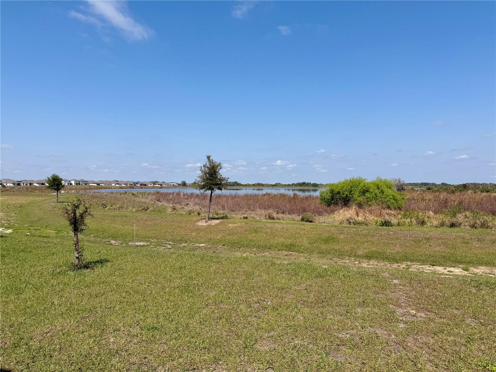 872 GRIFFON AVE, LAKE ALFRED, FL, 33850