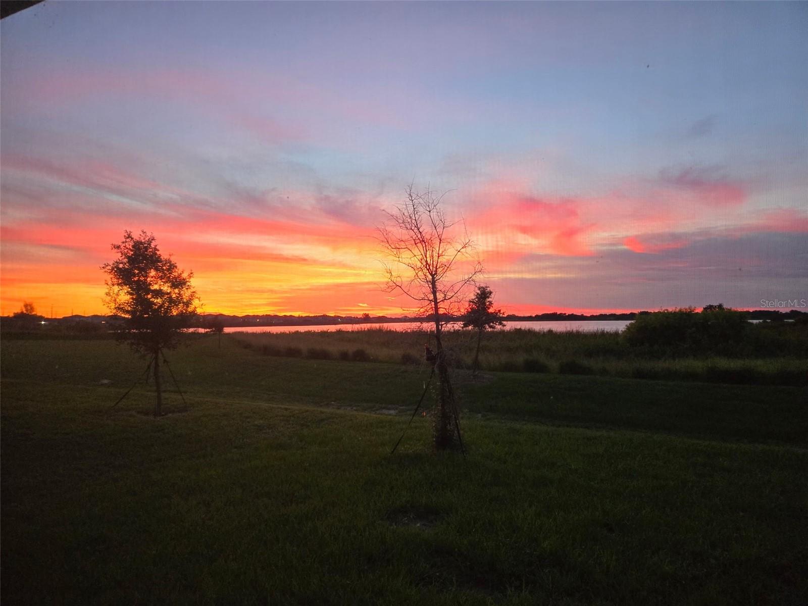 872 GRIFFON AVE, LAKE ALFRED, FL, 33850