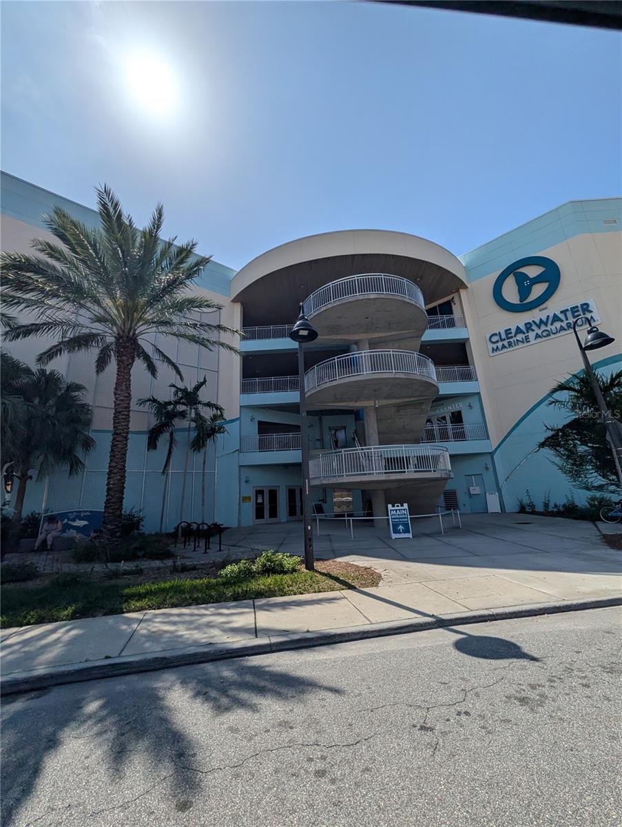 255 DOLPHIN PT #505, CLEARWATER BEACH, FL, 33767