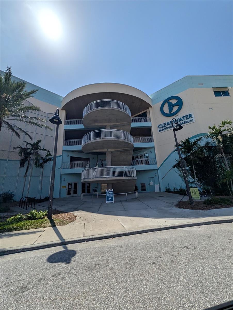 255 DOLPHIN PT #505, CLEARWATER BEACH, FL, 33767