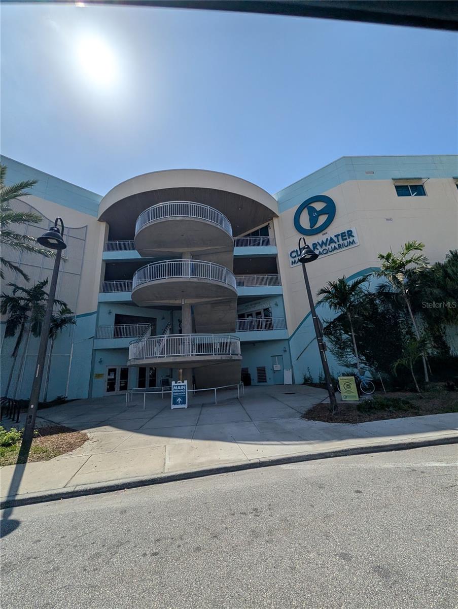 255 DOLPHIN PT #505, CLEARWATER BEACH, FL, 33767