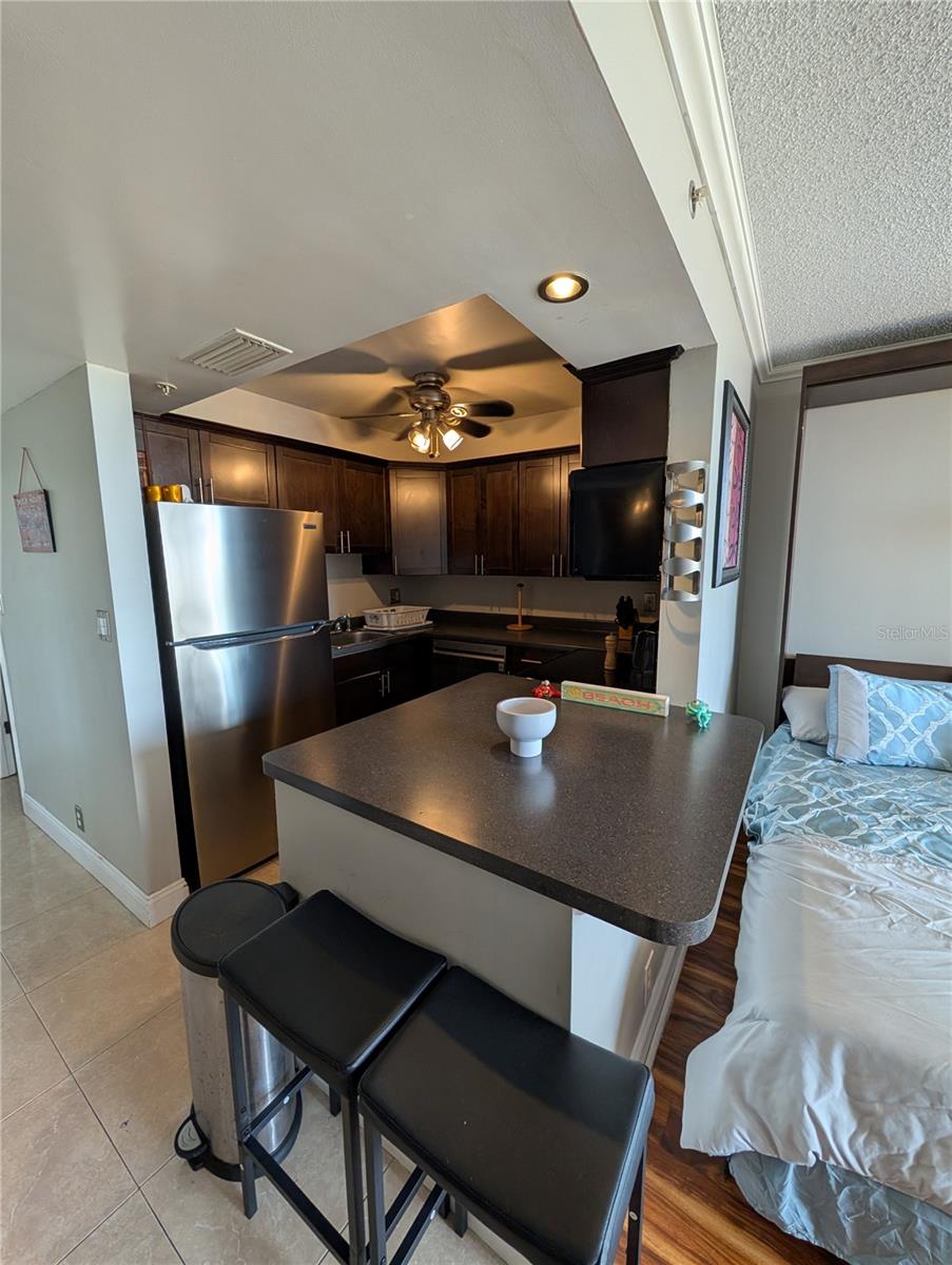 255 DOLPHIN PT #505, CLEARWATER BEACH, FL, 33767
