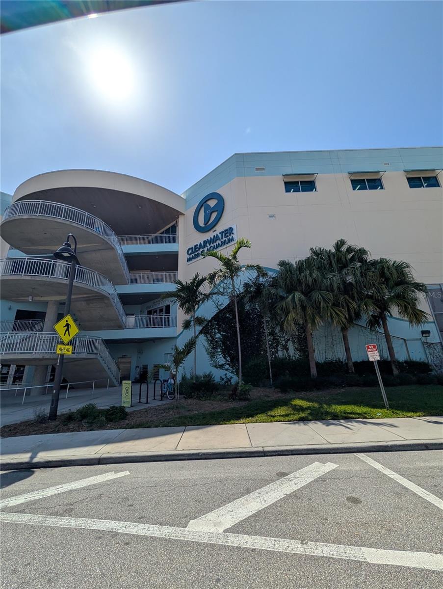 255 DOLPHIN PT #505, CLEARWATER BEACH, FL, 33767