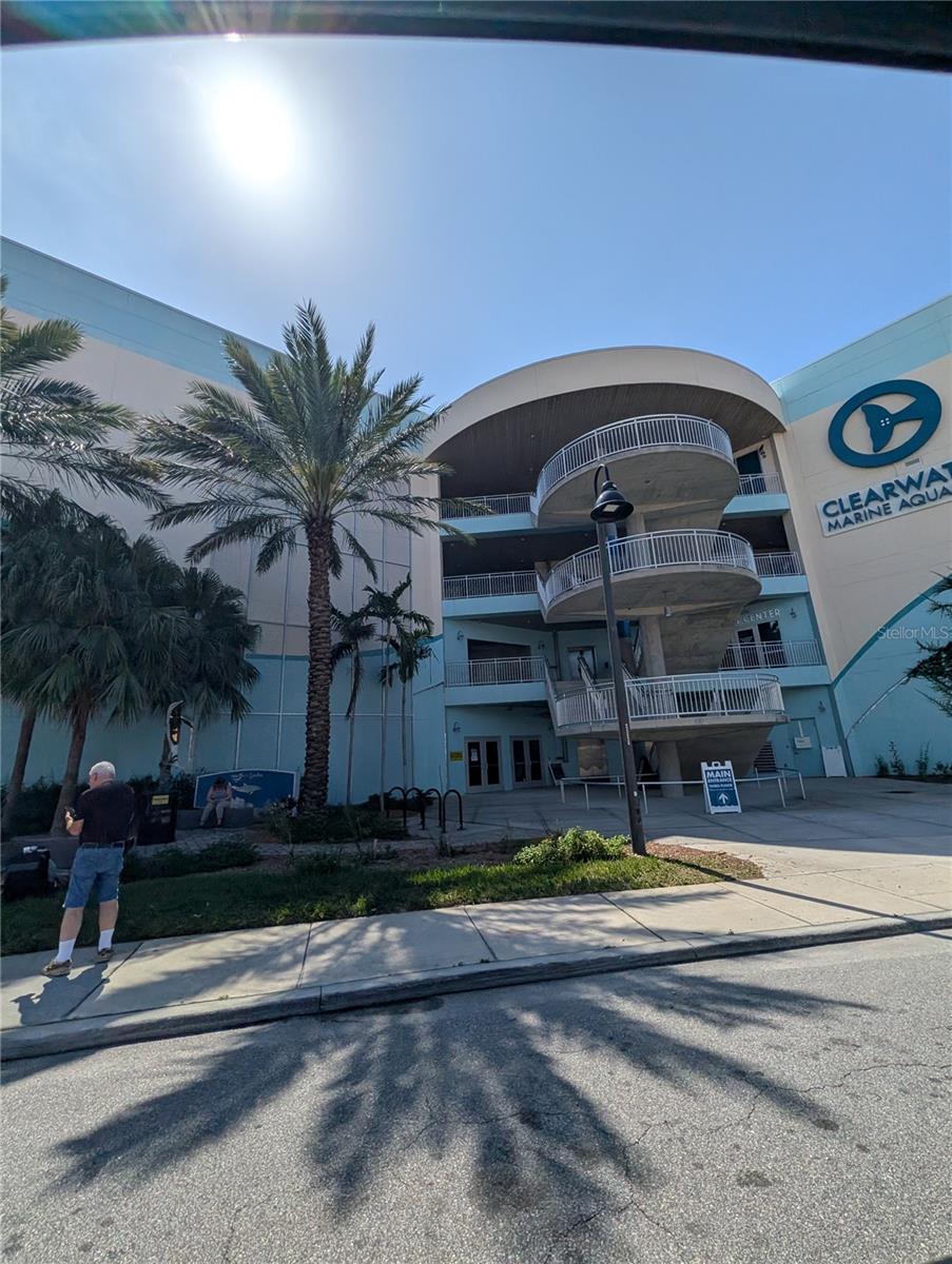 255 DOLPHIN PT #505, CLEARWATER BEACH, FL, 33767