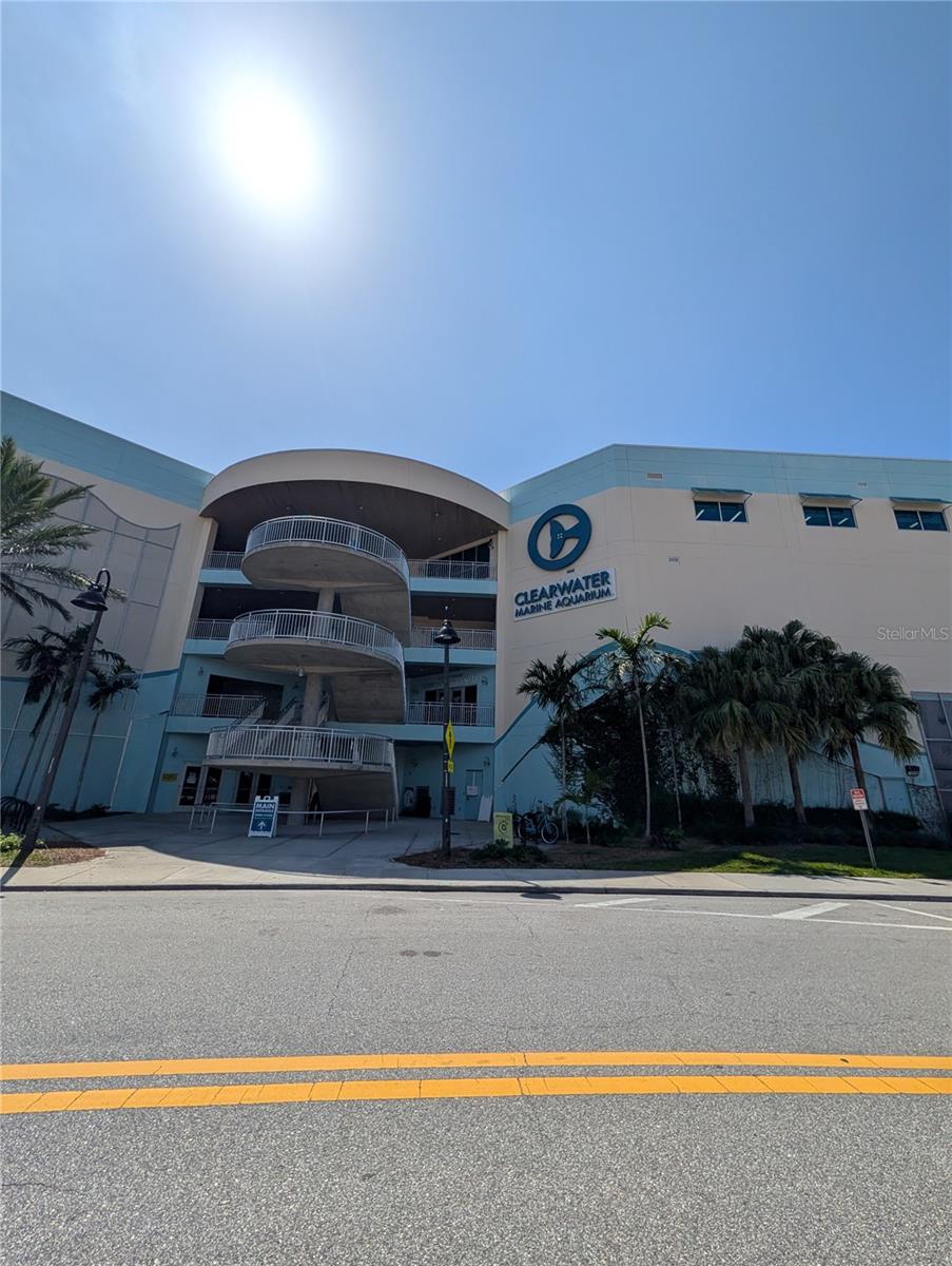 255 DOLPHIN PT #505, CLEARWATER BEACH, FL, 33767