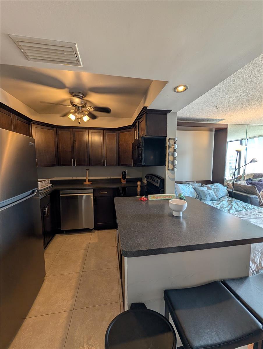 255 DOLPHIN PT #505, CLEARWATER BEACH, FL, 33767