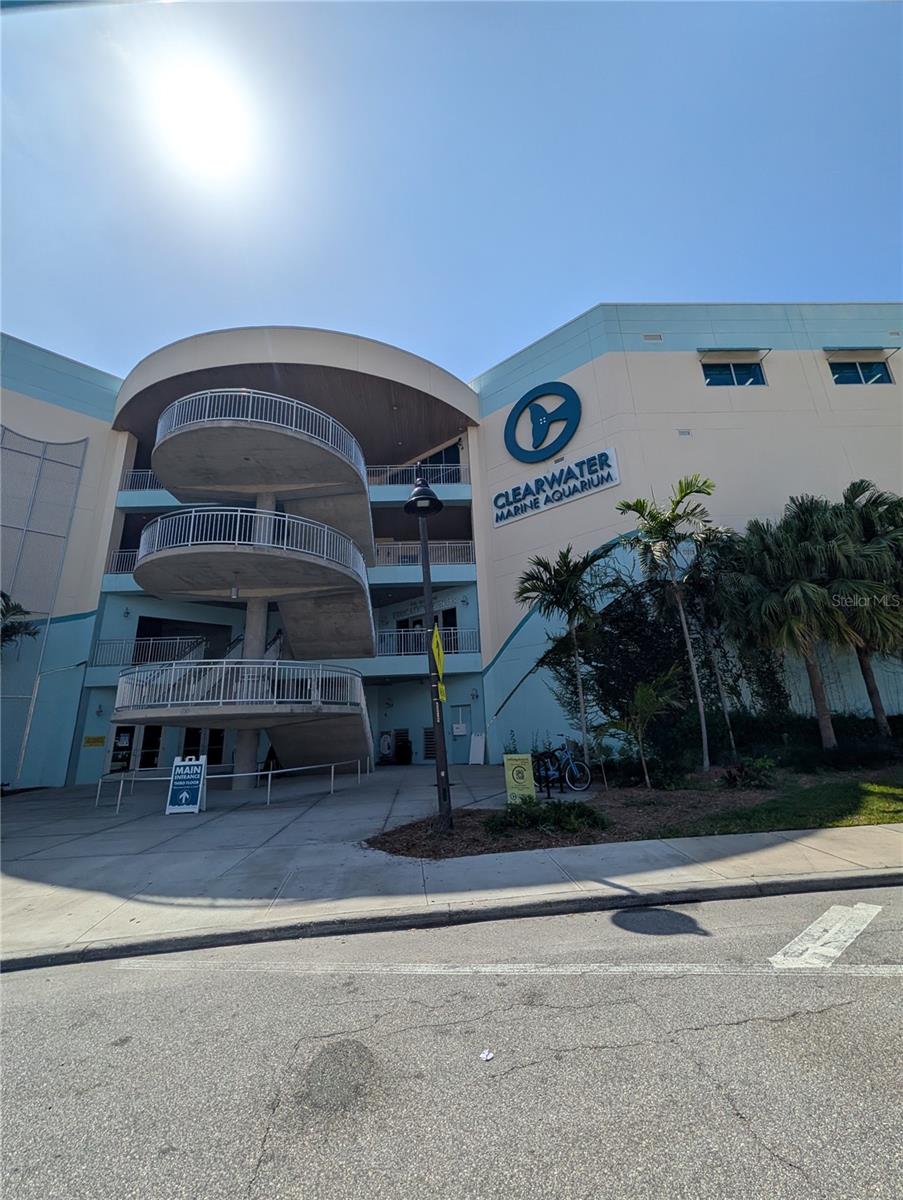 255 DOLPHIN PT #505, CLEARWATER BEACH, FL, 33767