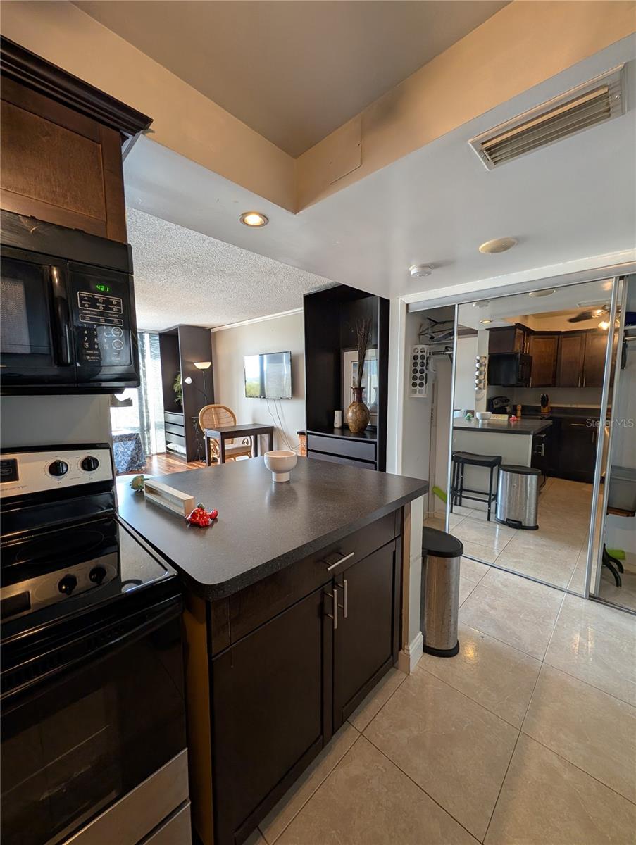 255 DOLPHIN PT #505, CLEARWATER BEACH, FL, 33767