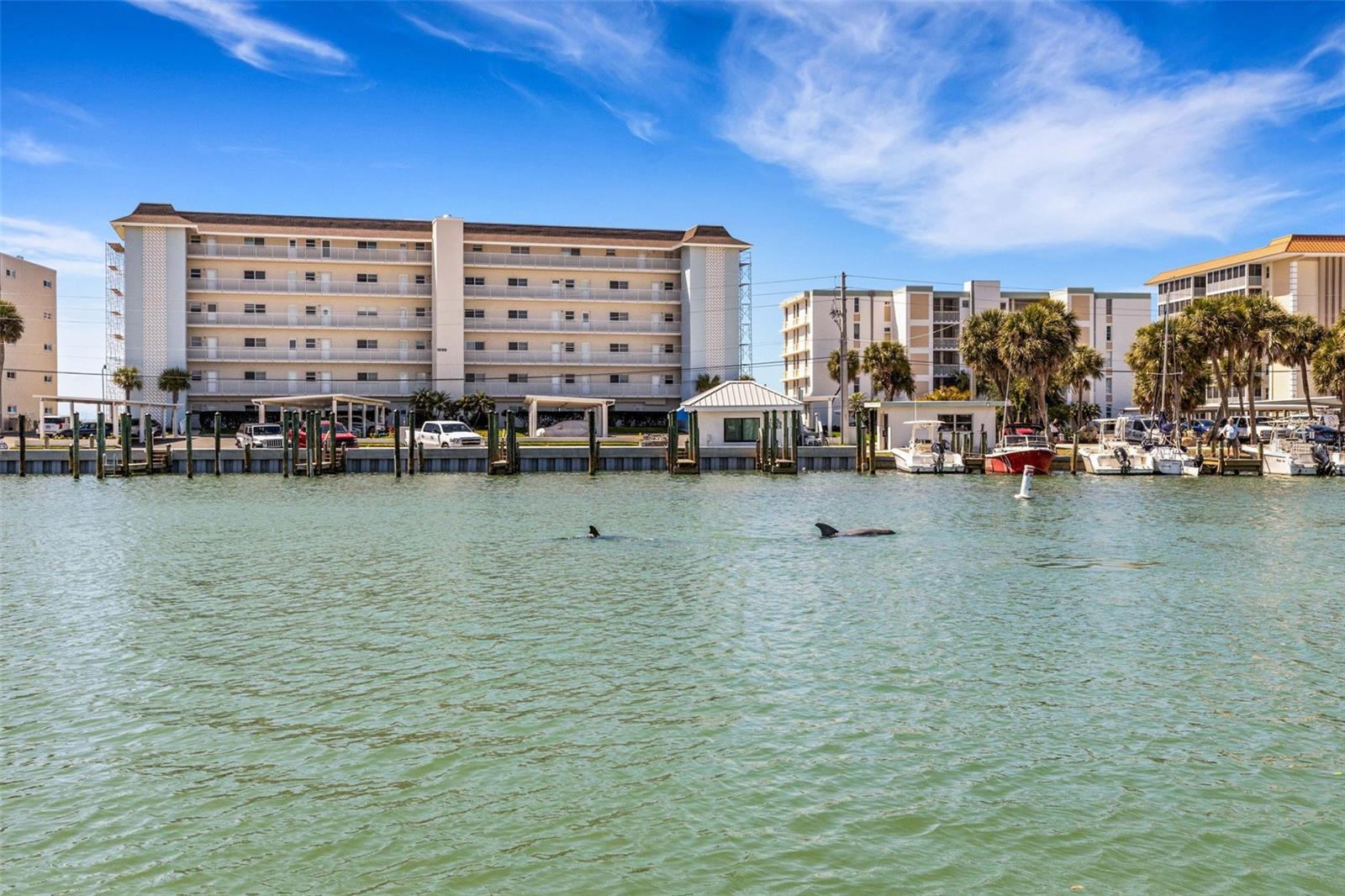 700 EL DORADO DR, VENICE, FL, 34285