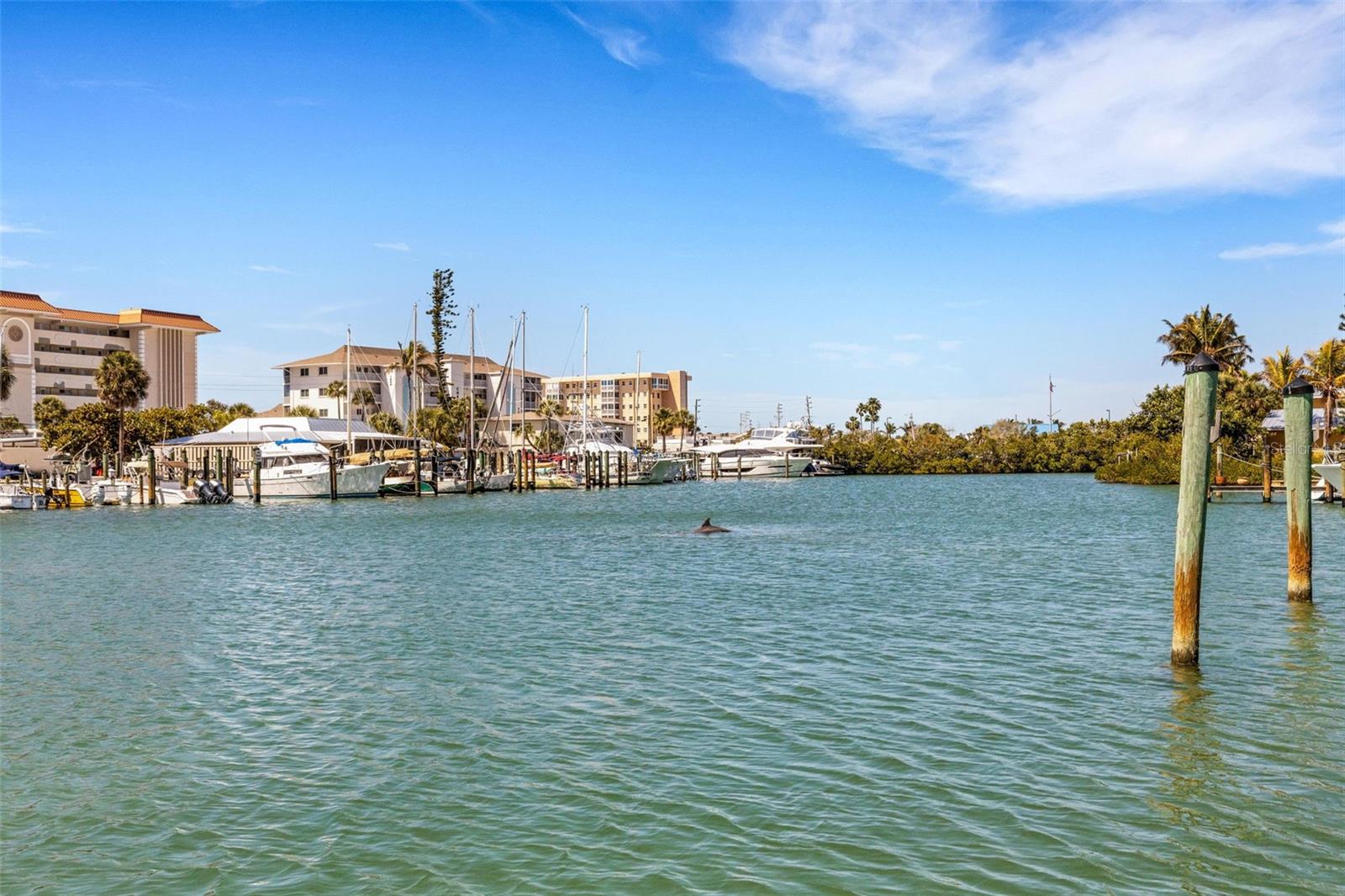 700 EL DORADO DR, VENICE, FL, 34285