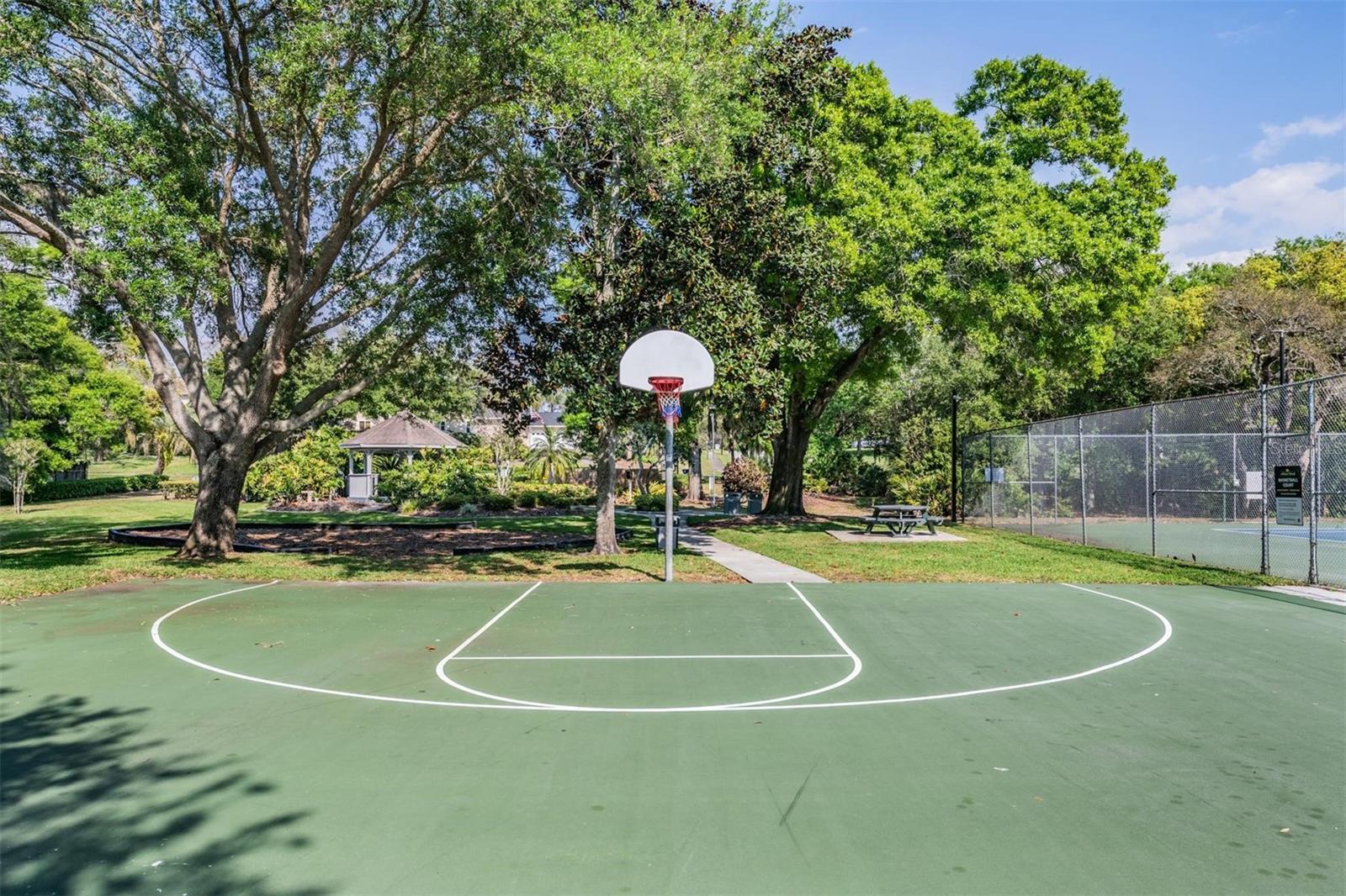 3223 HARVEST MOON DR, PALM HARBOR, FL, 34683