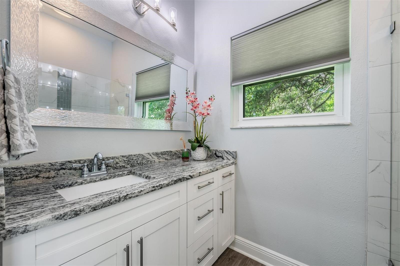 3223 HARVEST MOON DR, PALM HARBOR, FL, 34683
