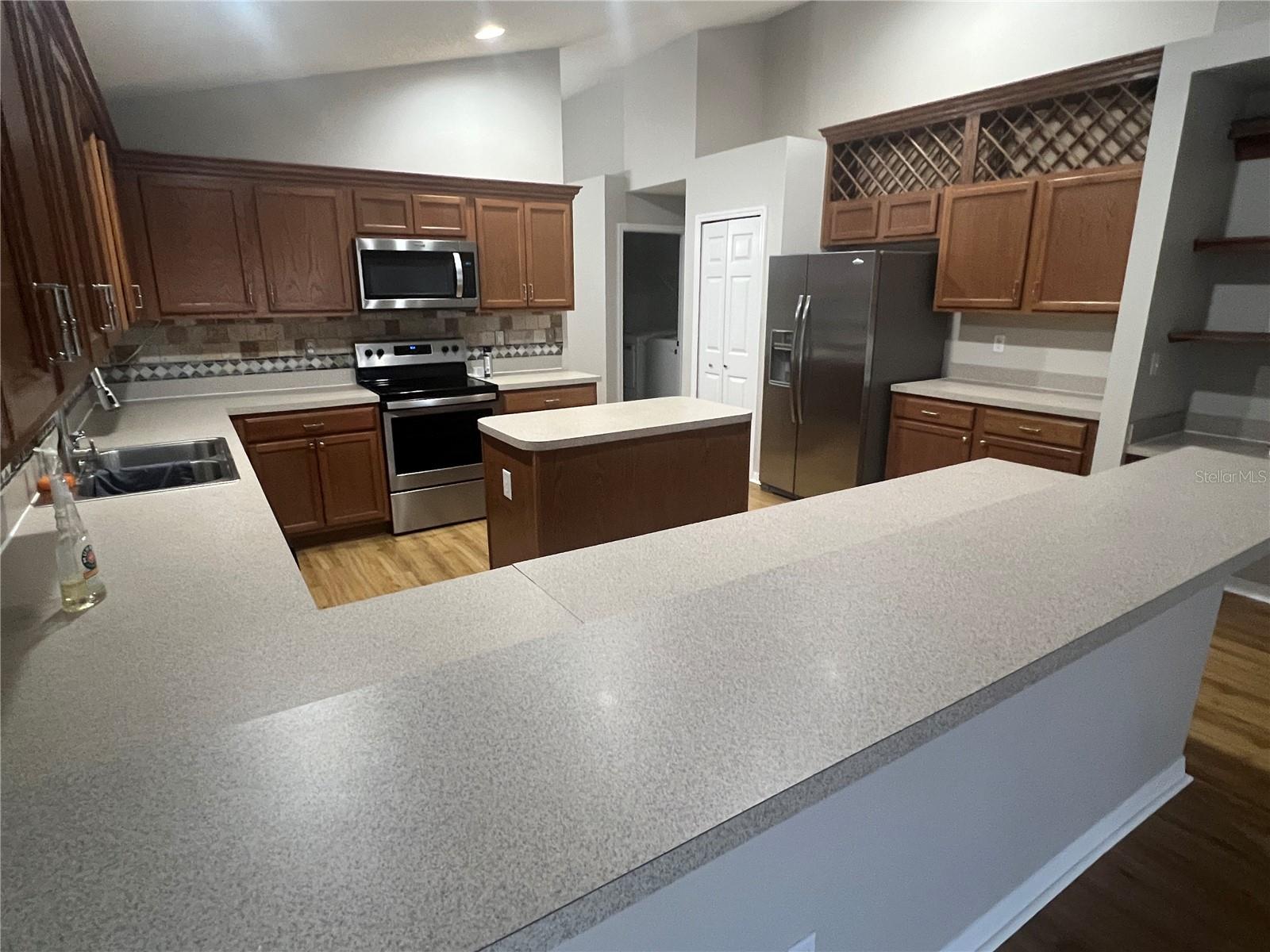1063 BLUEGRASS DR, GROVELAND, FL, 34736