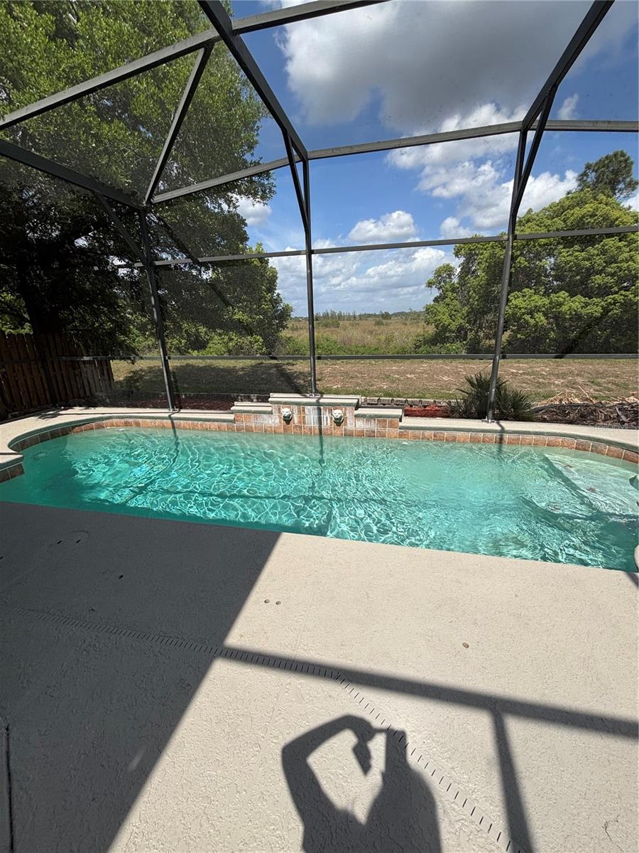1063 BLUEGRASS DR, GROVELAND, FL, 34736