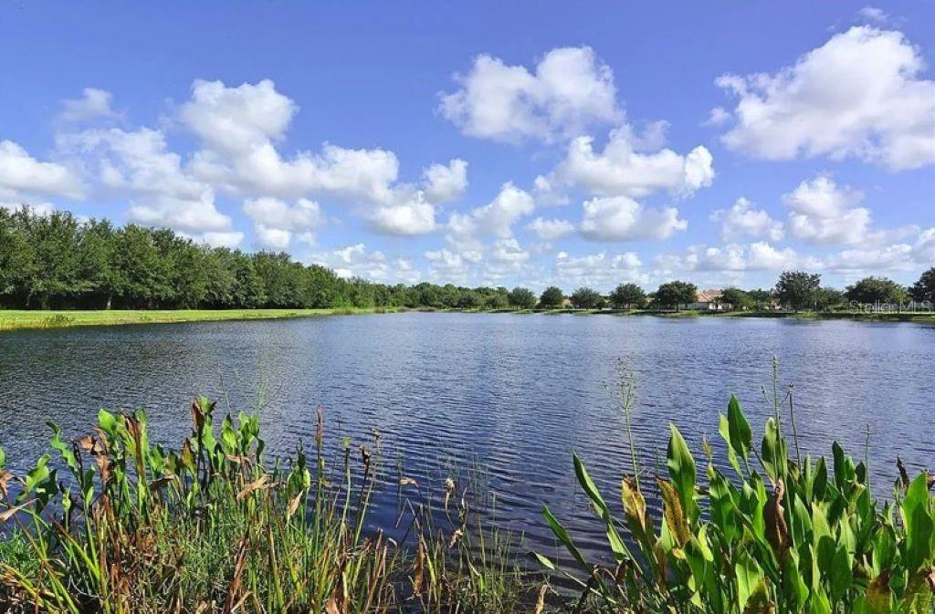 12022 GOLDENROD AVE, BRADENTON, FL, 34212