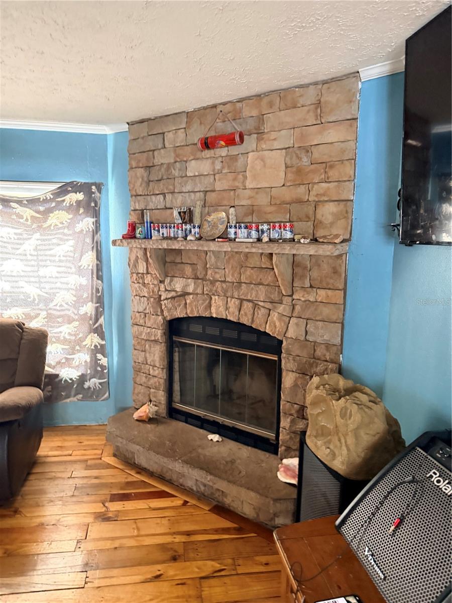 9134 SAMARITAN AVE, POLK CITY, FL, 33868
