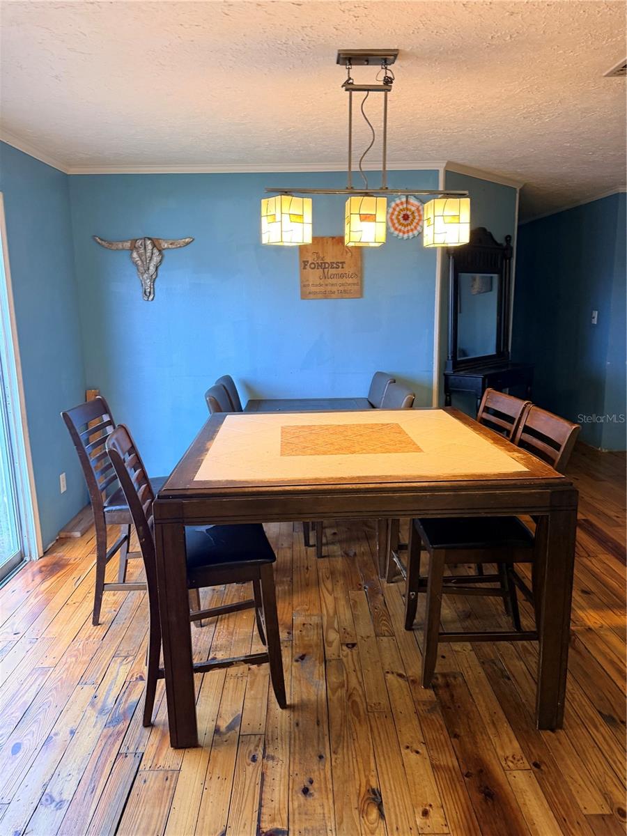 9134 SAMARITAN AVE, POLK CITY, FL, 33868