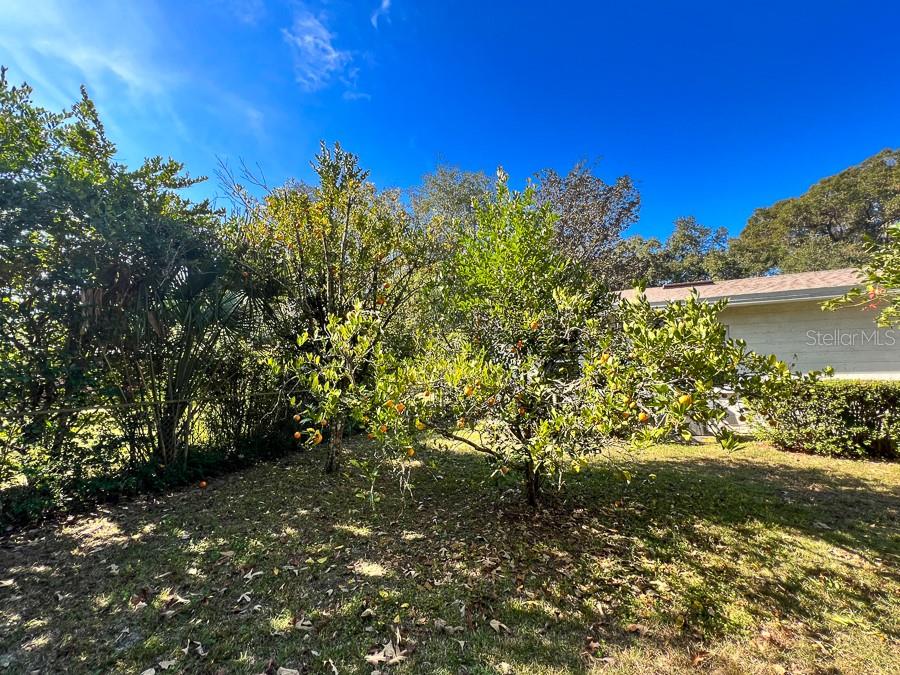 1901 NW 36TH DR, GAINESVILLE, FL, 32605