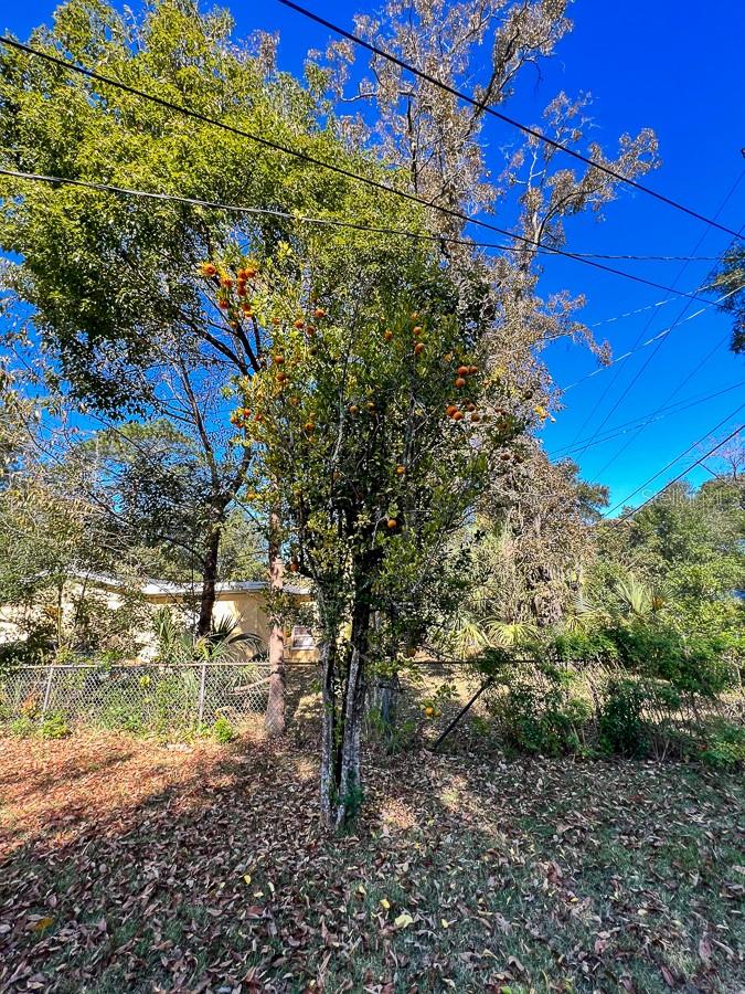 1901 NW 36TH DR, GAINESVILLE, FL, 32605