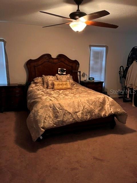 10049 SAVANNAH BLUFF LN, ORLANDO, FL, 32829