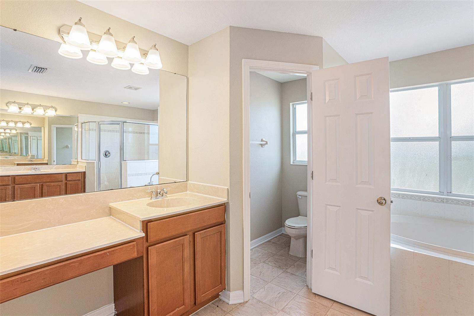 8602 SANDY PLAINS DR, RIVERVIEW, FL, 33578