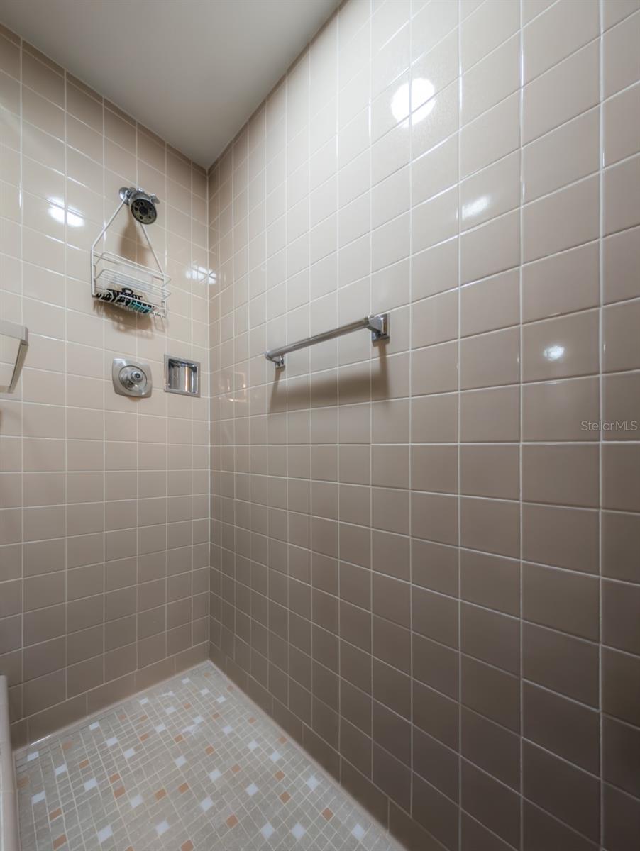 Walk in shower for Master BAth