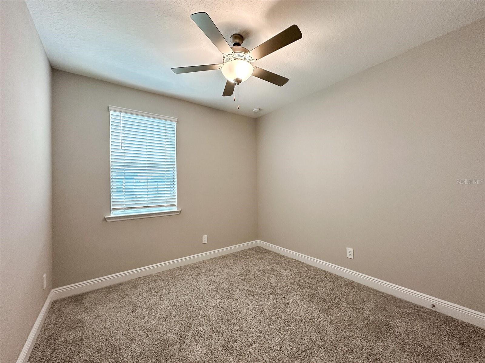 4878 CORAL BEAN ALY, WINTER GARDEN, FL, 34787