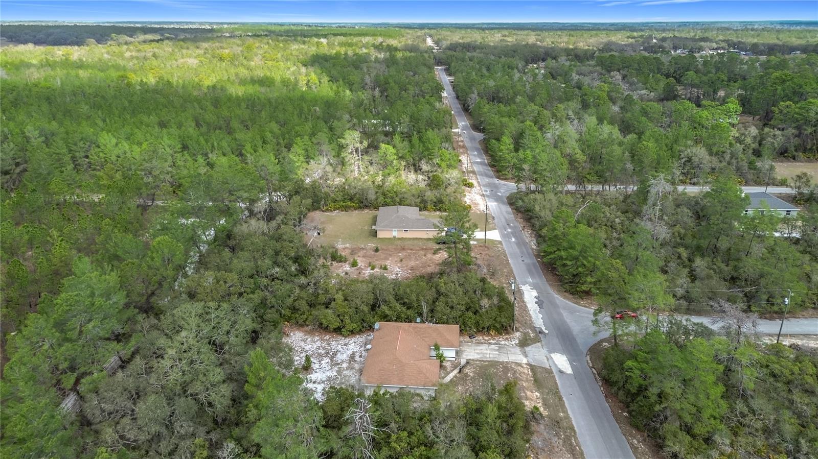 50 MALAUKA PASS CRSE, OCKLAWAHA, FL, 32179