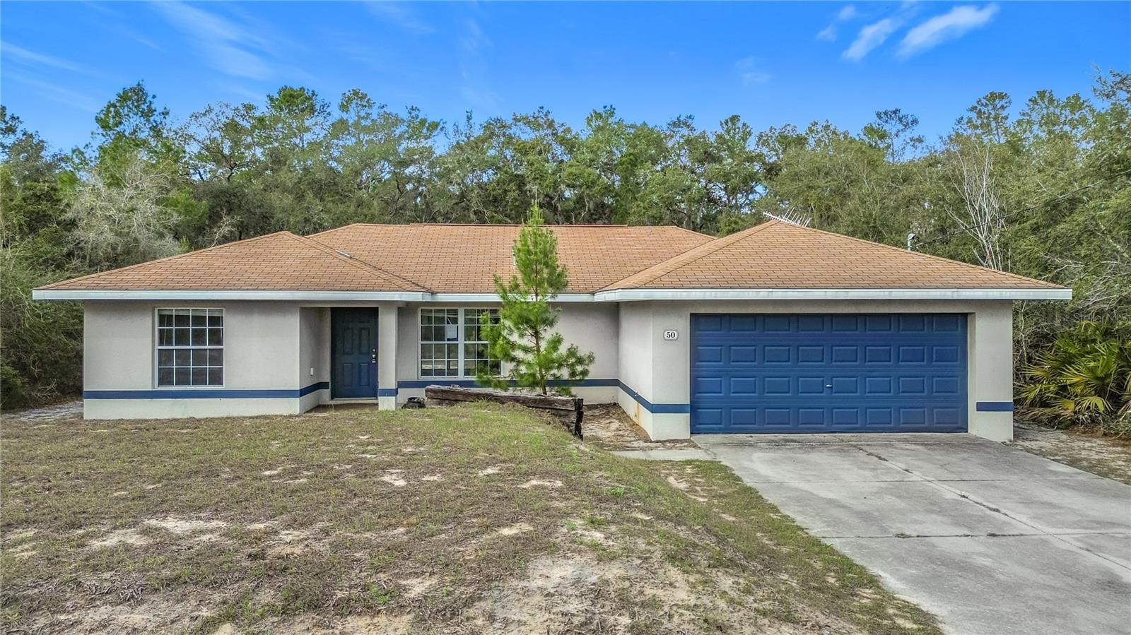 50 MALAUKA PASS CRSE, OCKLAWAHA, FL, 32179