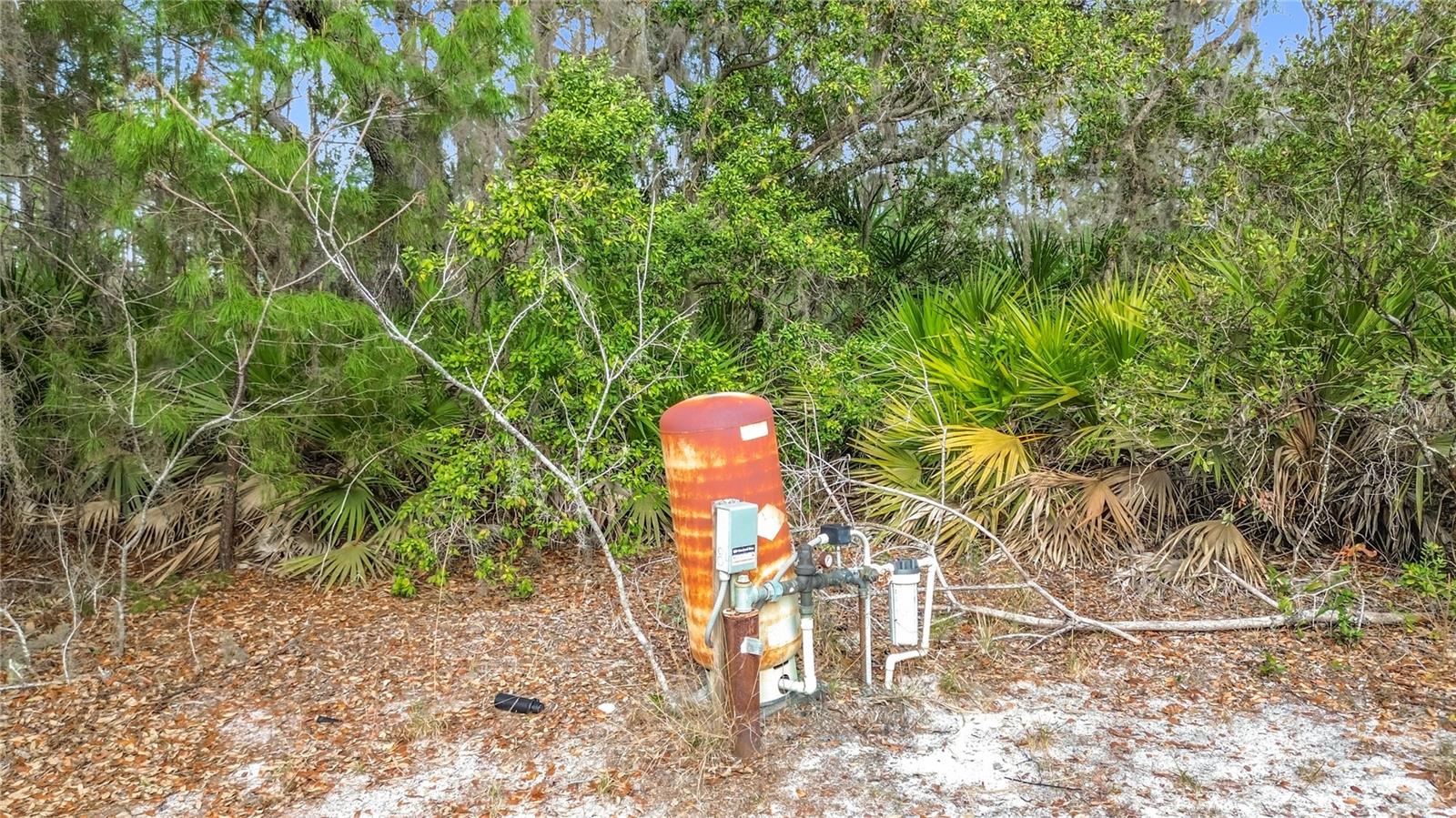50 MALAUKA PASS CRSE, OCKLAWAHA, FL, 32179
