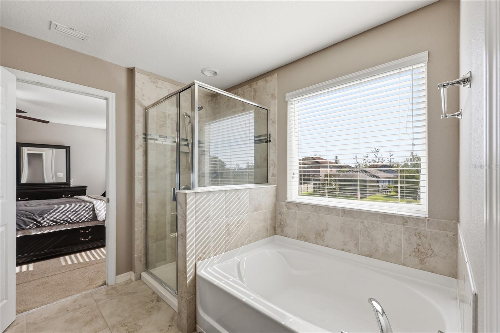 19416 ROSEATE DR, LUTZ, FL, 33558