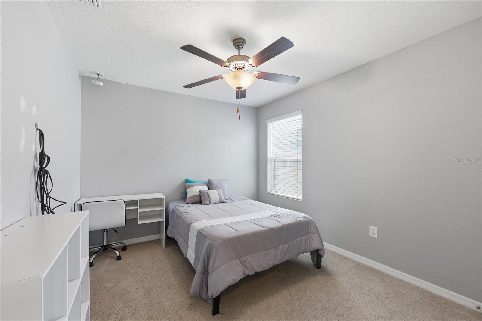 19416 ROSEATE DR, LUTZ, FL, 33558